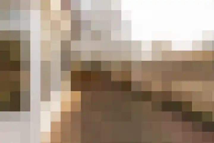 Heirstraat 48 Elsloo thumbnail 39
