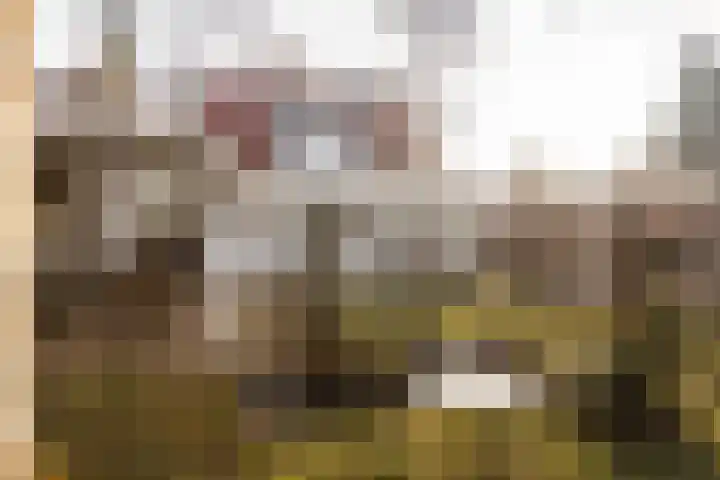 Heirstraat 48 Elsloo thumbnail 50
