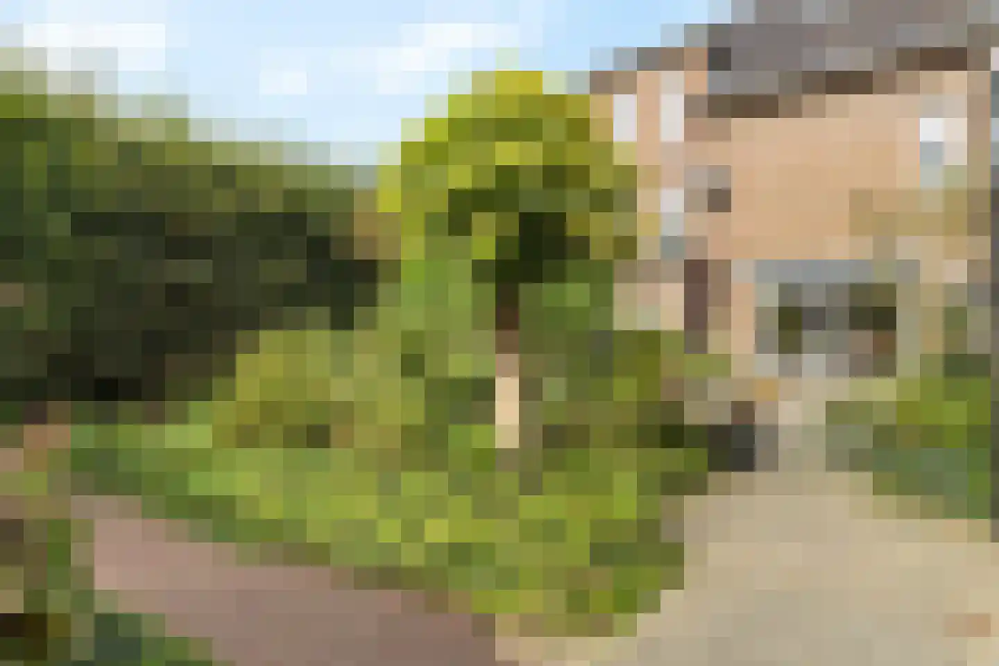 Heirstraat 9 Beek thumbnail 35