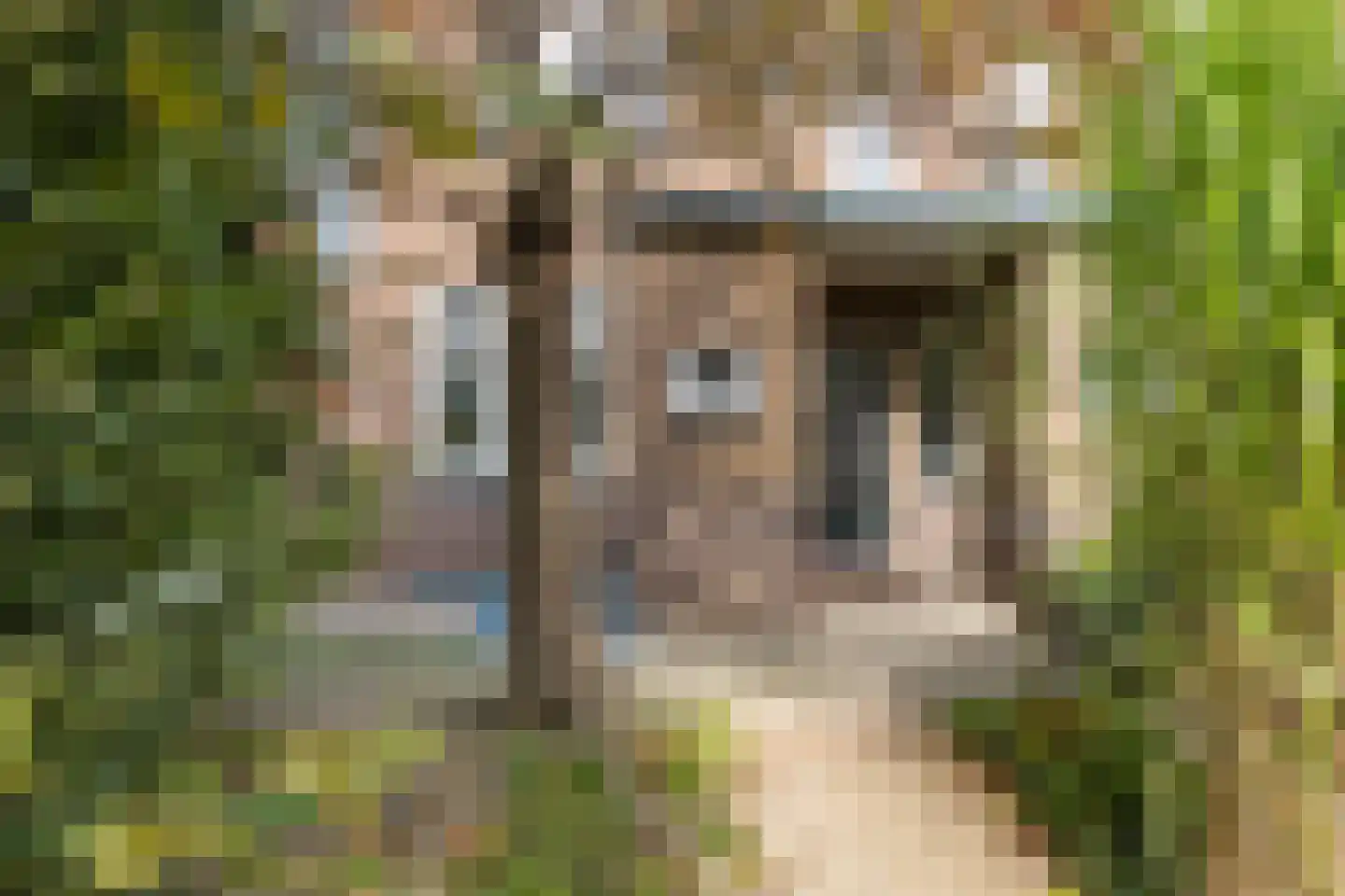 Heirstraat 9 Beek thumbnail 37