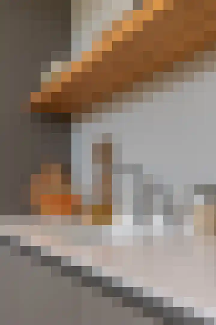 Heirust 1 Rosmalen thumbnail 21