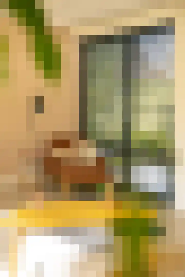 Heirust 1 Rosmalen thumbnail 30