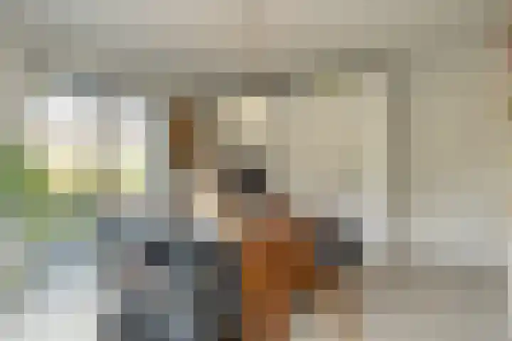 Heirust 1 Rosmalen thumbnail 36