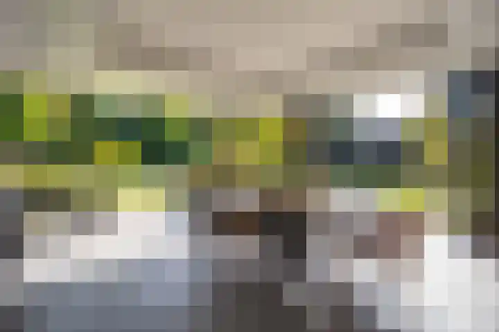 Heirust 1 Rosmalen thumbnail 63