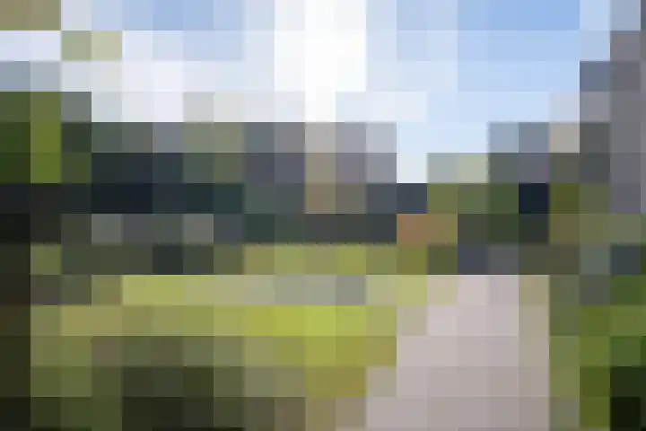 Heirust 1 Rosmalen thumbnail 66