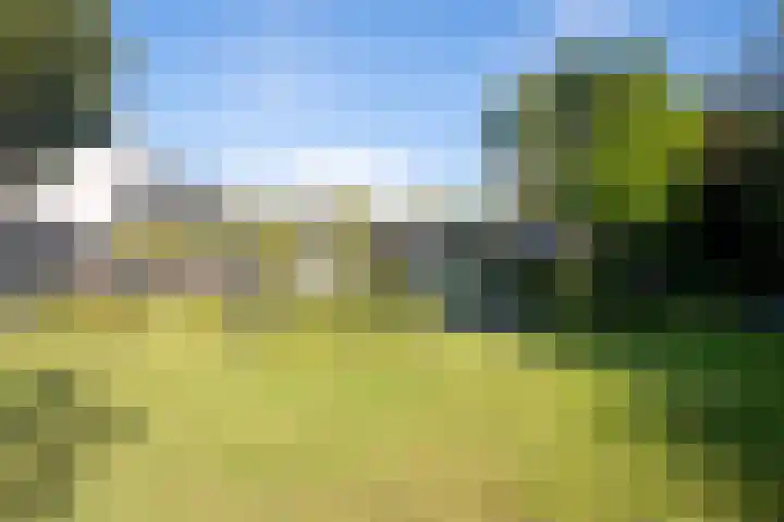 Heirust 1 Rosmalen thumbnail 69