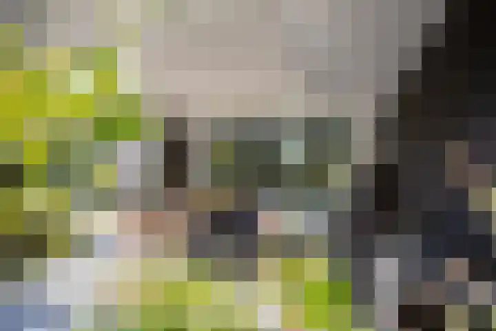 Heirust 1 Rosmalen thumbnail 73