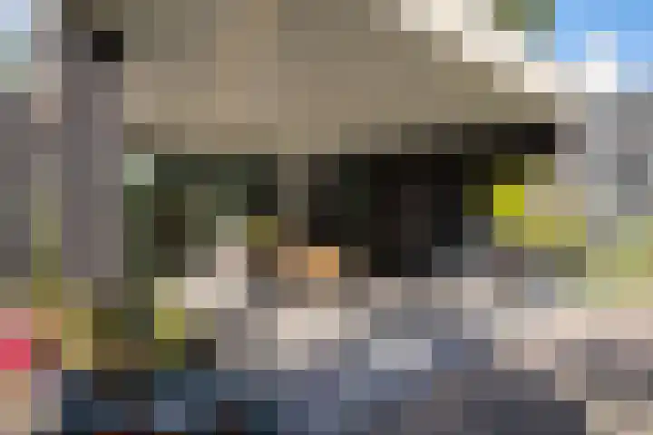 Heirust 1 Rosmalen thumbnail 74
