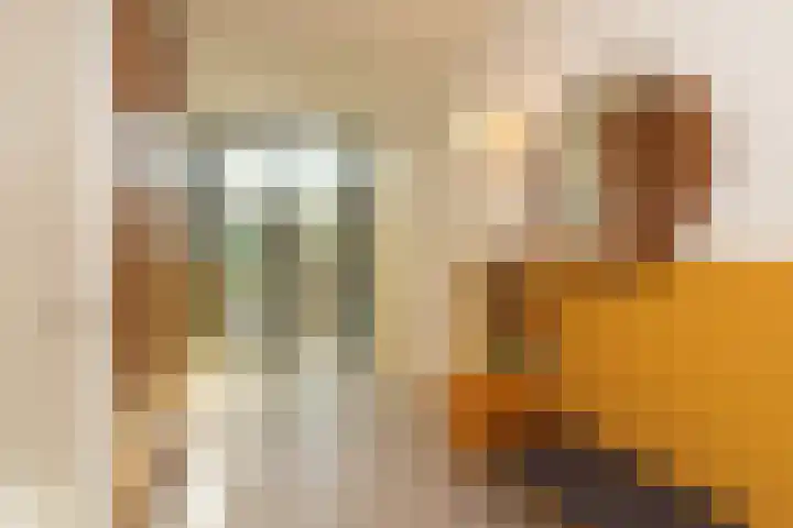 Heirust 1 Rosmalen thumbnail 8