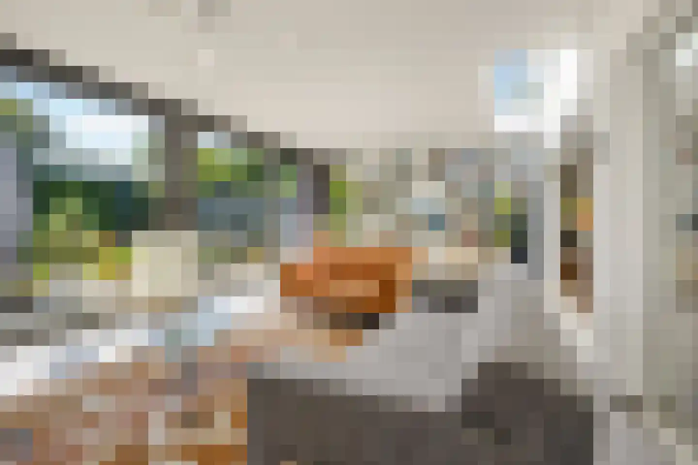 Heirust 3 Rosmalen thumbnail 16