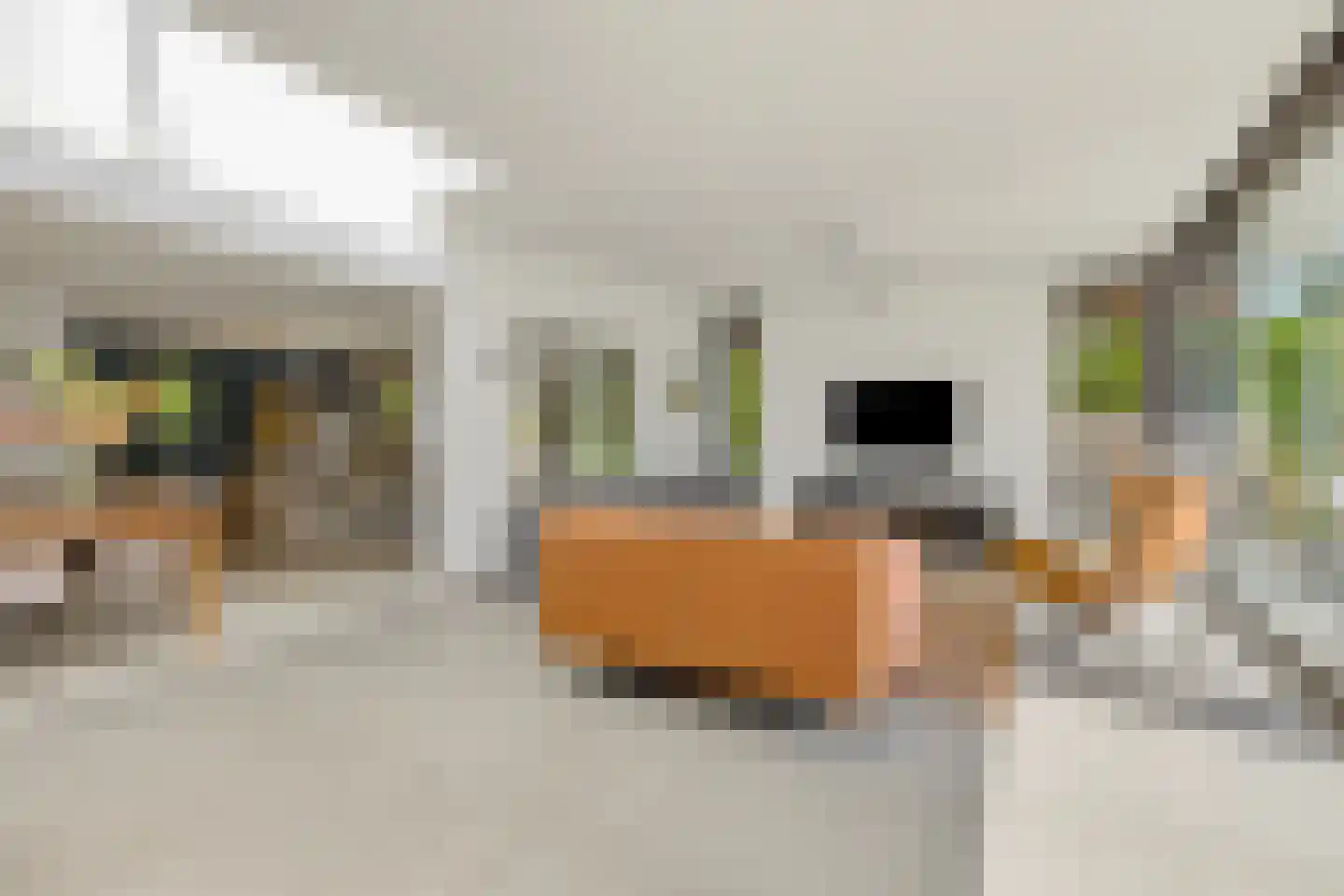 Heirust 3 Rosmalen thumbnail 18