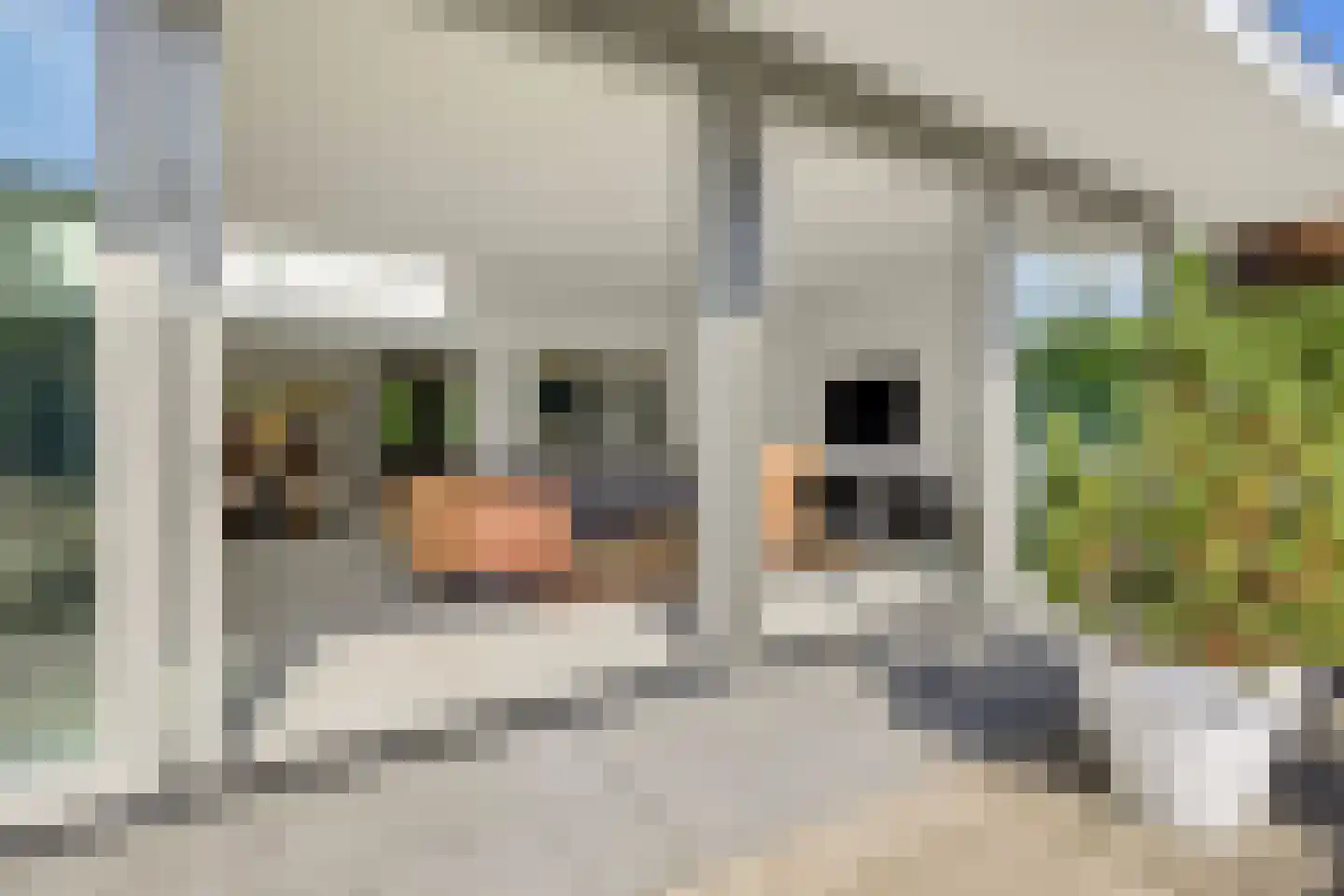 Heirust 3 Rosmalen thumbnail 20