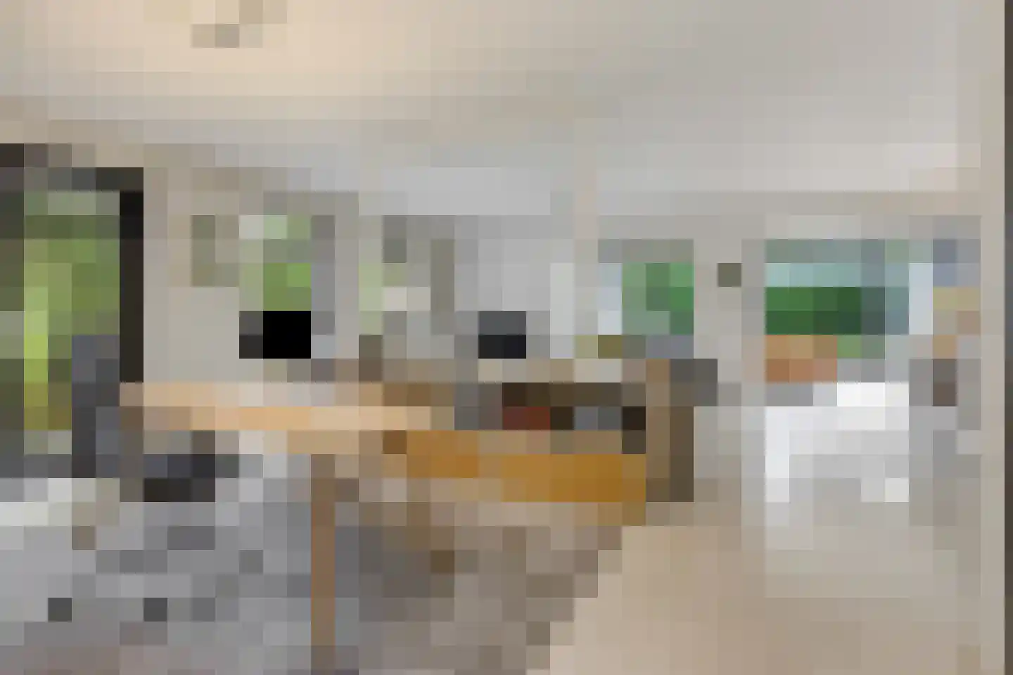 Heirust 3 Rosmalen thumbnail 8