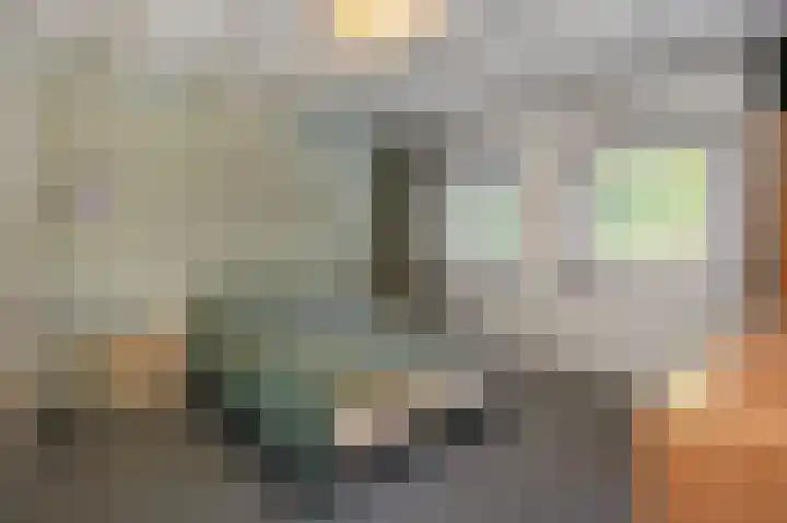 Heirust 6 Rosmalen thumbnail 12