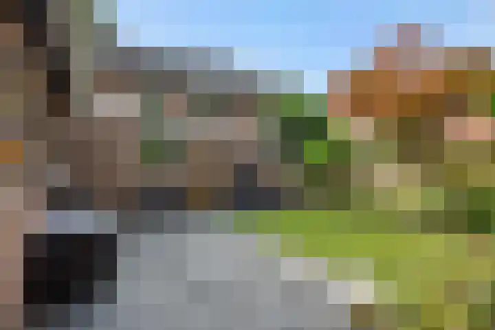 Heirust 6 Rosmalen thumbnail 20
