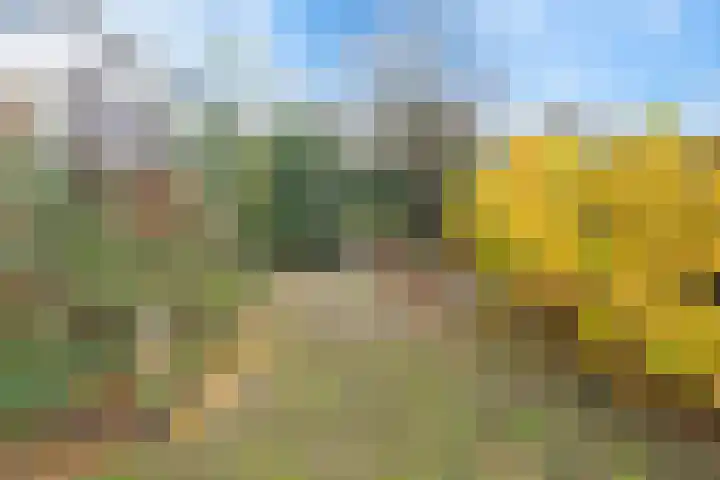 Heirweg 1 A Velsen-Noord thumbnail 26