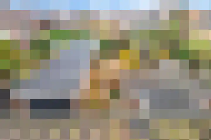 Heirweg 1 A Velsen-Noord thumbnail 45