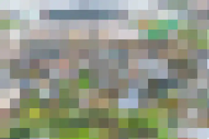 Heirweg 1 A Velsen-Noord thumbnail 50