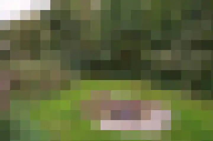 Heirweg 1 Garminge thumbnail 114