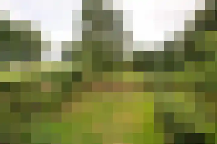 Heirweg 1 Garminge thumbnail 116
