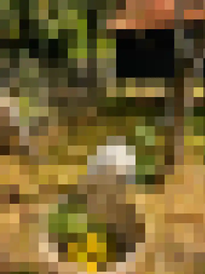 Heirweg 1 Garminge thumbnail 135