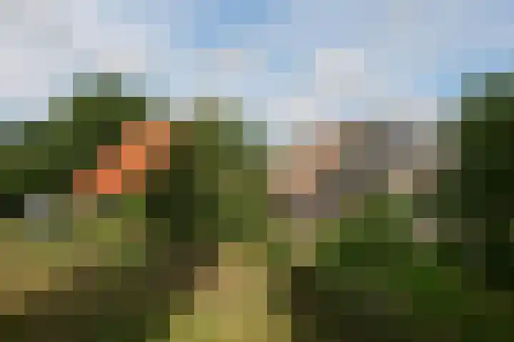 Heirweg 1 Garminge thumbnail 6