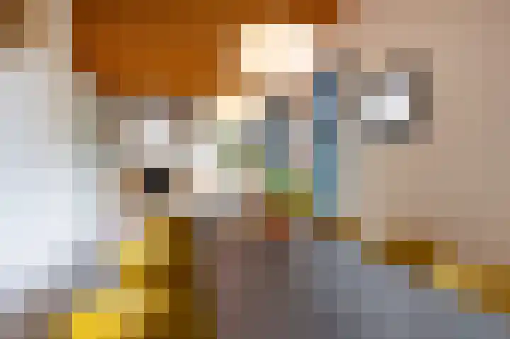 Heirweg 1 Garminge thumbnail 63