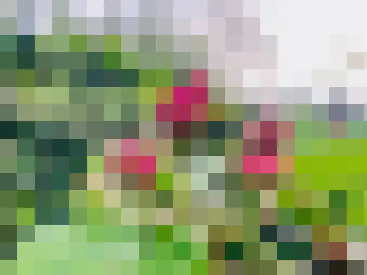 Heirweg 1 Garminge thumbnail 77
