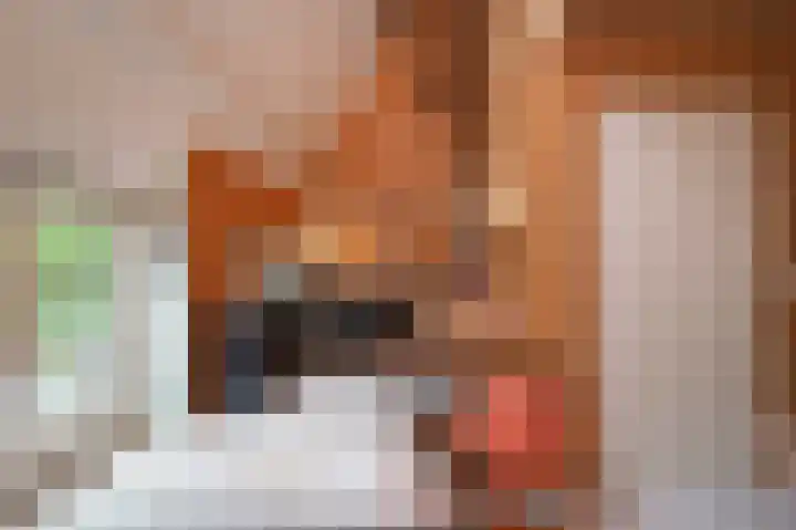 Heirweg 1 Garminge thumbnail 88
