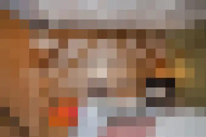 Heirweg 1 Garminge thumbnail 89