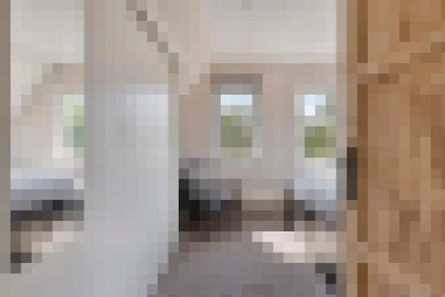 Heirweg 11 Wolvega thumbnail 19