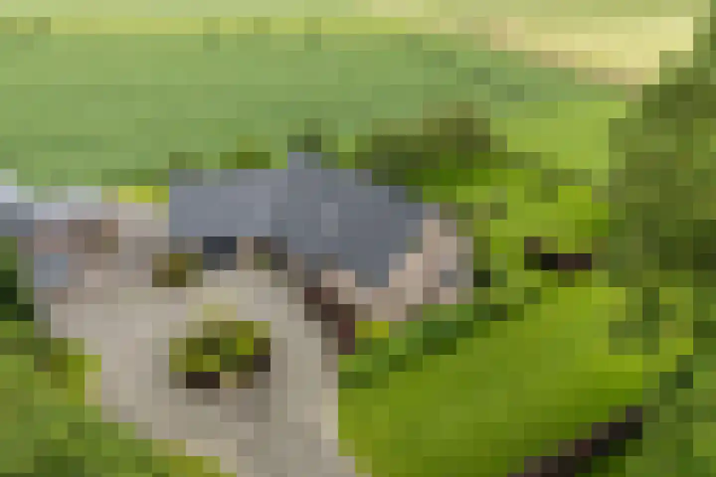 Heirweg 12 Garminge thumbnail 4