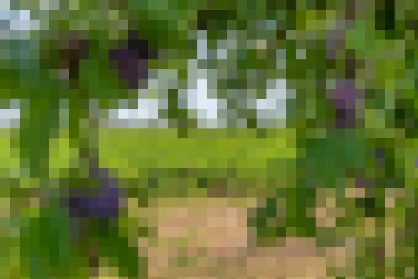 Heirweg 12 Garminge thumbnail 58