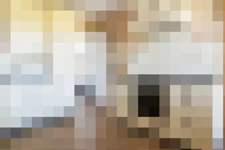 Heirweg 26 Balinge thumbnail 15