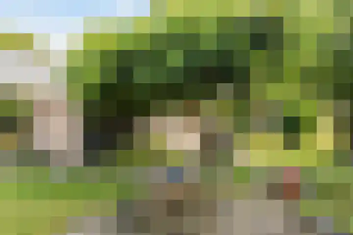 Heirweg 26 Balinge thumbnail 25