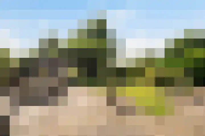 Heirweg 26 Balinge thumbnail 26
