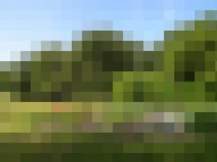 Heirweg 26 Balinge thumbnail 27