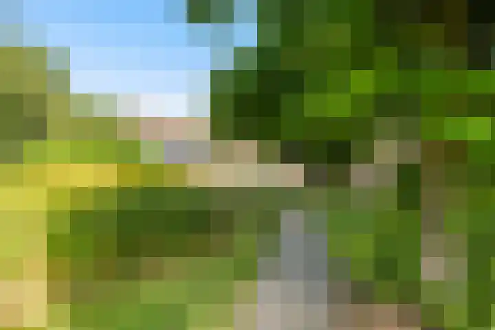 Heirweg 26 Balinge thumbnail 28