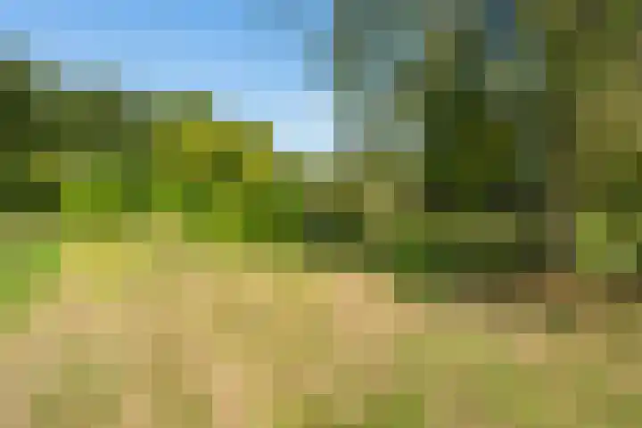Heirweg 26 Balinge thumbnail 30