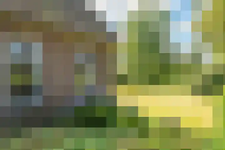 Heirweg 26 Balinge thumbnail 35