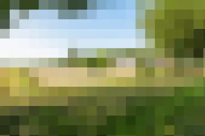 Heirweg 26 Balinge thumbnail 40