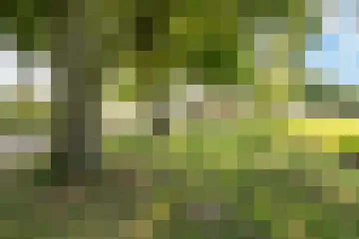 Heirweg 26 Balinge thumbnail 42