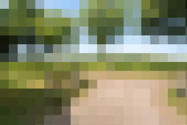 Heirweg 26 Balinge thumbnail 43