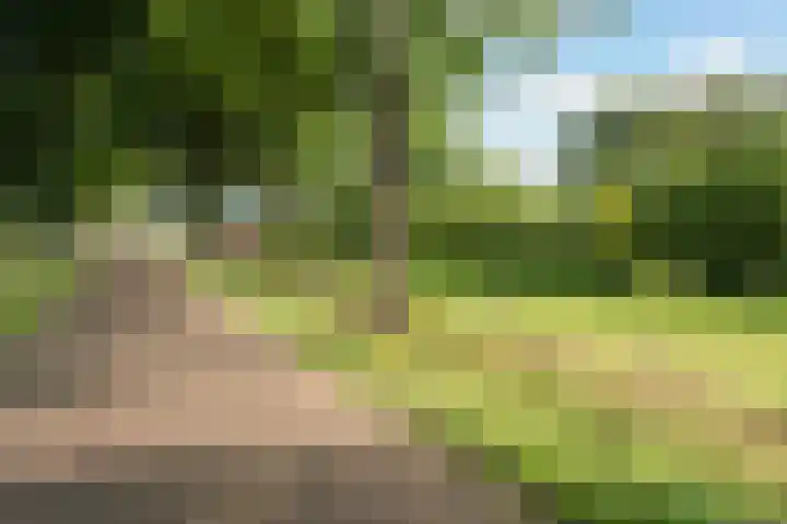 Heirweg 26 Balinge thumbnail 45