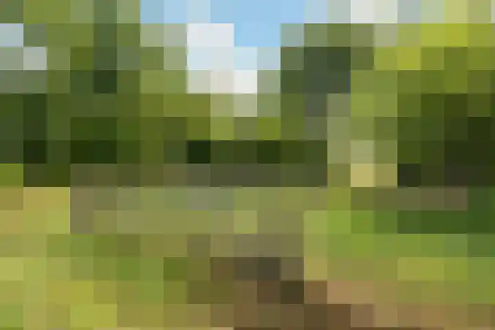 Heirweg 26 Balinge thumbnail 46