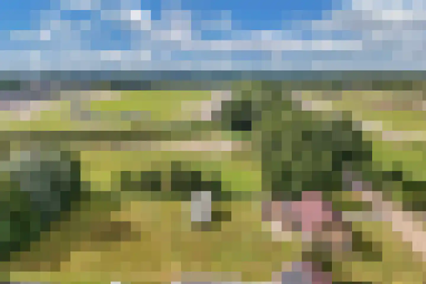 Heirweg 3 A Wolvega thumbnail 4