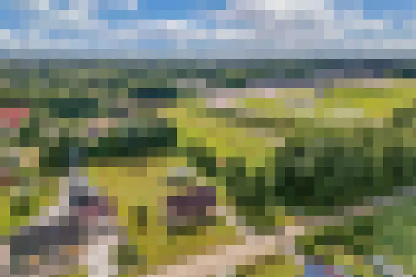 Heirweg 3 A Wolvega thumbnail 46
