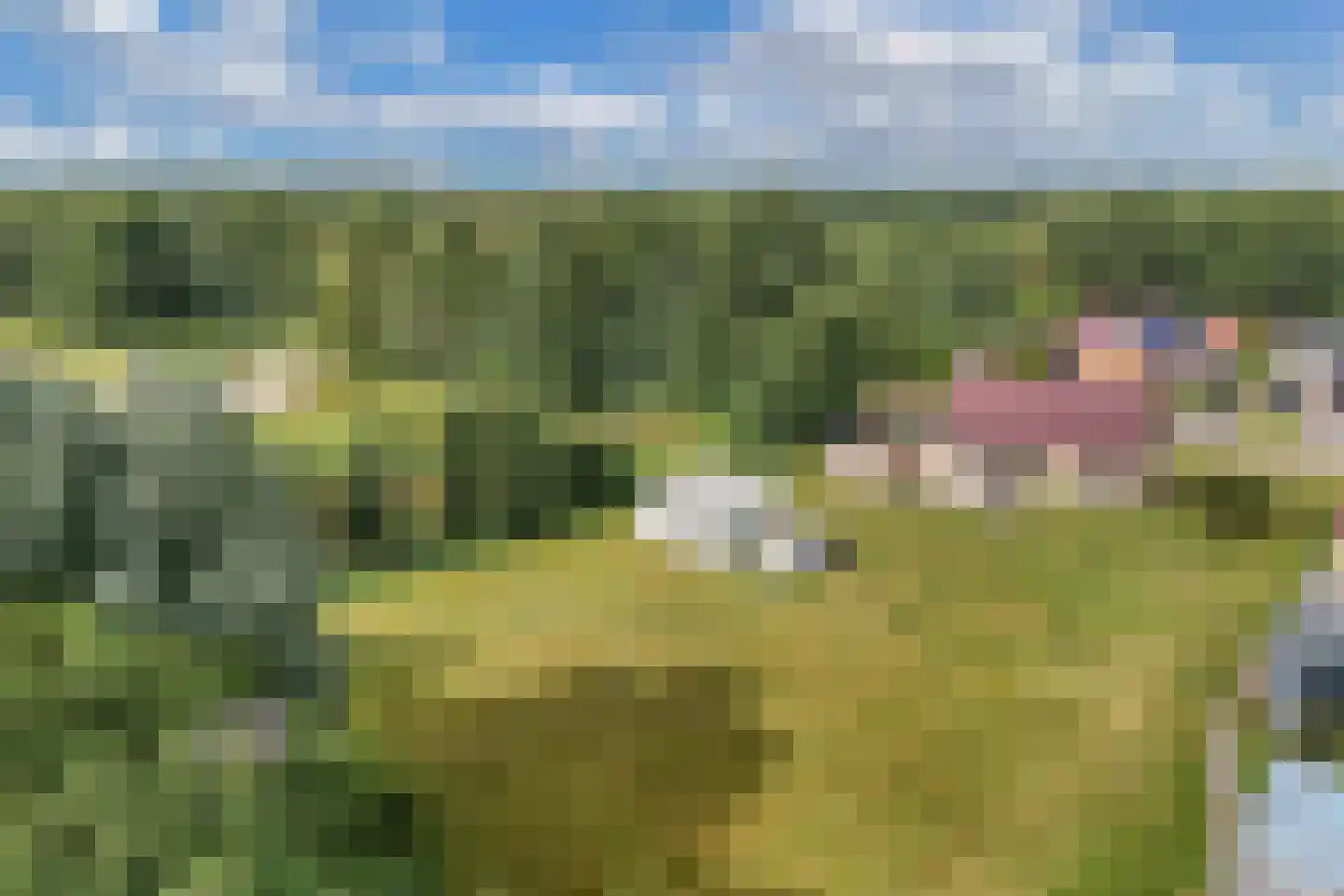 Heirweg 3 A Wolvega thumbnail 47