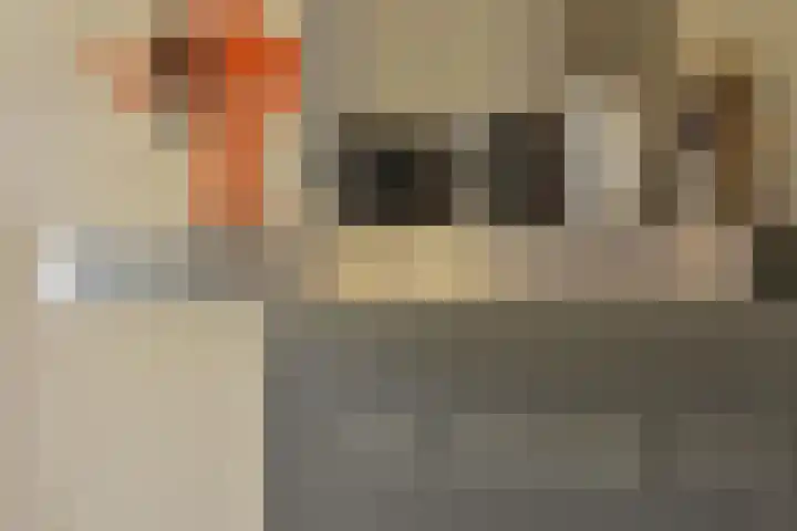 Heirweg 4 Geulle thumbnail 23