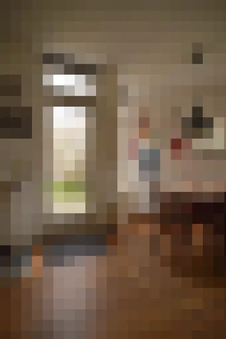 Heirweg 4 Geulle thumbnail 26
